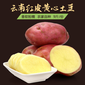 云南农家特产红皮黄心土豆9斤 新鲜蔬菜 马铃薯 洋芋新鲜